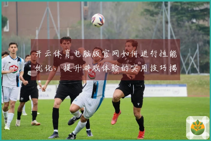 开云体育电脑版官网如何进行性能优化,提升游戏体验的实用技巧揭秘