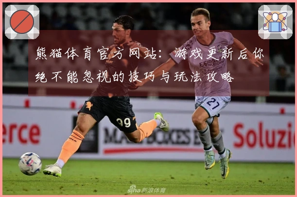 熊猫体育官方网站：游戏更新后你绝不能忽视的技巧与玩法攻略