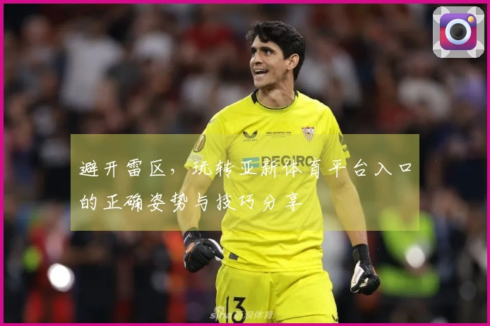 避开雷区，玩转亚新体育平台入口的正确姿势与技巧分享